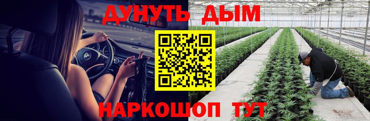 Бошки марихуана SATIVA & INDICA  Бошки марихуана сатива  Надым  Вход с VPN  Шишки марихуана MAZAR  Бошки марихуана тримм 